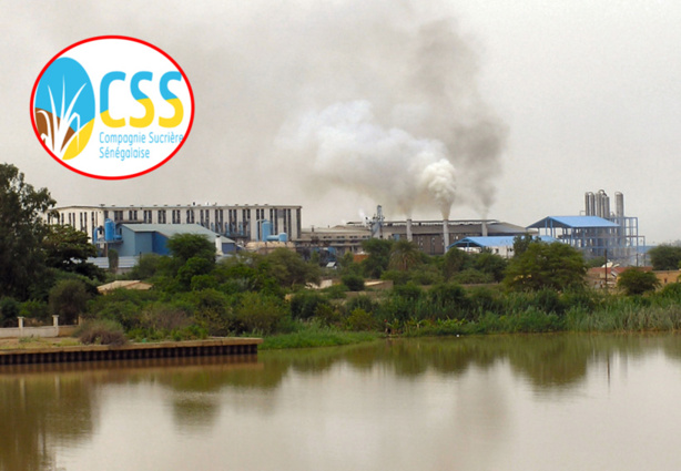 Richard-Toll : Un engin percute trois travailleurs de la CSS à Bardial Richard-Toll : Un engin percute trois travailleurs de la CSS à Bardial