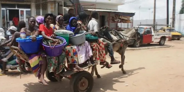 Dakar Propre: Élimination des charrettes dans certains points de la capitale Dakar Propre: Élimination des charrettes dans certains points de la capitale