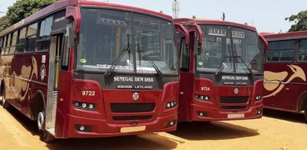 Défaut de plaque d’immatriculation : Deux bus de Sénégal Dem Dikk refoulés par la police gambienne Défaut de plaque d’immatriculation : Deux bus de Sénégal Dem Dikk refoulés par la police gambienne