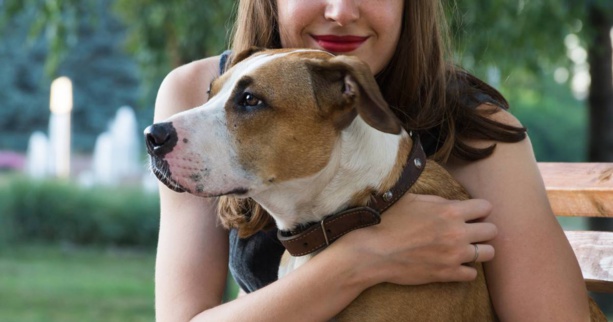 L’Espagne a-t-elle «dépénalisé les actes sexuels avec les animaux» ? L’Espagne a-t-elle «dépénalisé les actes sexuels avec les animaux» ?