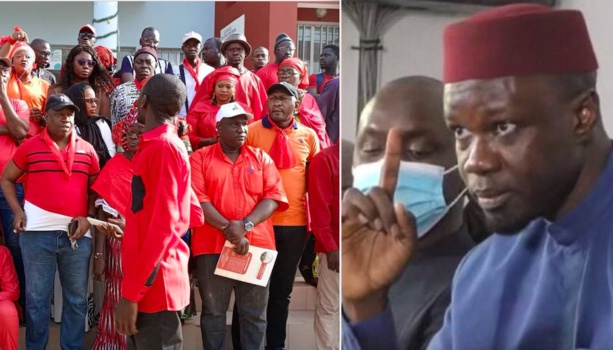 Mouvement des travailleurs municipaux : Les précisions de la mairie de Ziguinchor (Vidéo) Mouvement des travailleurs municipaux : Les précisions de la mairie de Ziguinchor (Vidéo)