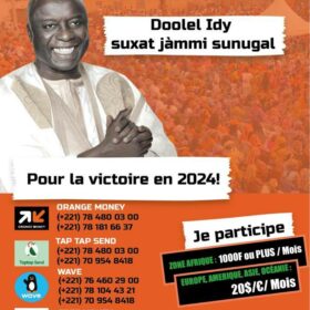 Présidentielle de 2024 : la diaspora lance une campagne de collecte de fonds pour Idrissa Seck