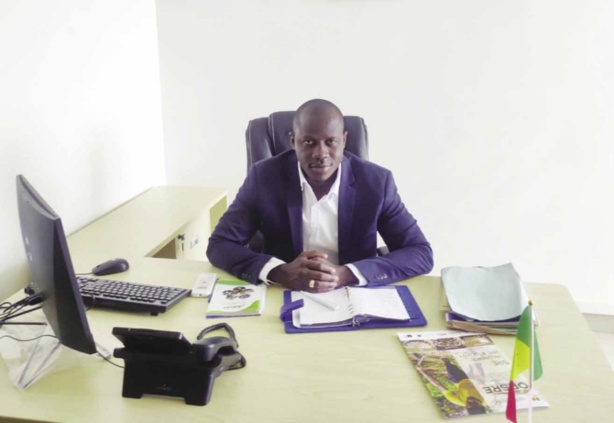 Wandifa Dramé, Conseiller spécial à la Présidence de la République : "Les FDS sont à Ziguinchor pour rétablir l'ordre et garantir la sécurité des personnes et des biens..." Wandifa Dramé, Conseiller spécial à la Présidence de la République : "Les FDS sont à Ziguinchor pour rétablir l'ordre et garantir la sécurité des personnes et des biens..."