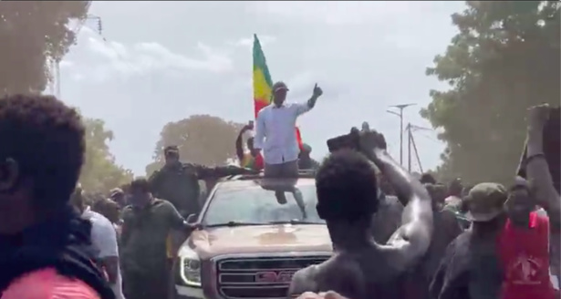 "Grande Caravane de la Liberté" : Ousmane Sonko fait vibrer Goudomp (vidéo) "Grande Caravane de la Liberté" : Ousmane Sonko fait vibrer Goudomp (vidéo)