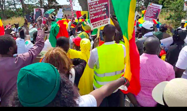 30 manifestants tués au Sénégal : Grand rassemblement de la diaspora Sénégalaise devant la CPI