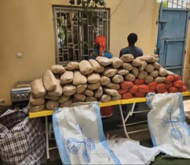 121 kg de drogue saisis : deux dealers dont une femme de 50 ans tombent 