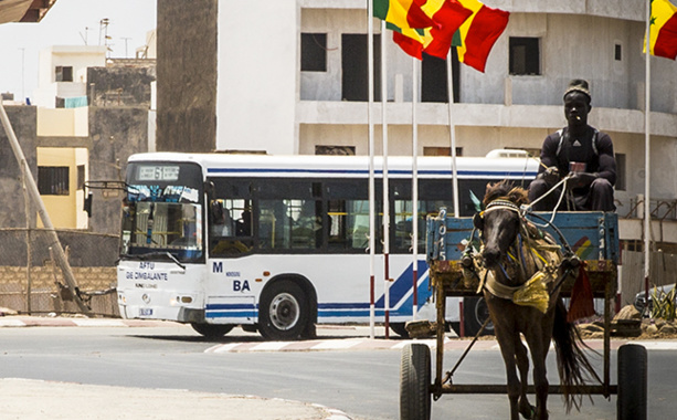 "Cette grève des transporteurs de Aftu ne fait que pénaliser le Sénégalais lambda" "Cette grève des transporteurs de Aftu ne fait que pénaliser le Sénégalais lambda"