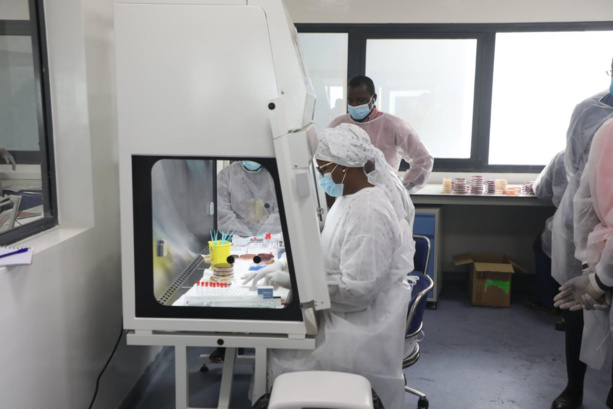 Foundiougne : Mort d'un patient atteint de Crimée-Congo Foundiougne : Mort d'un patient atteint de Crimée-Congo