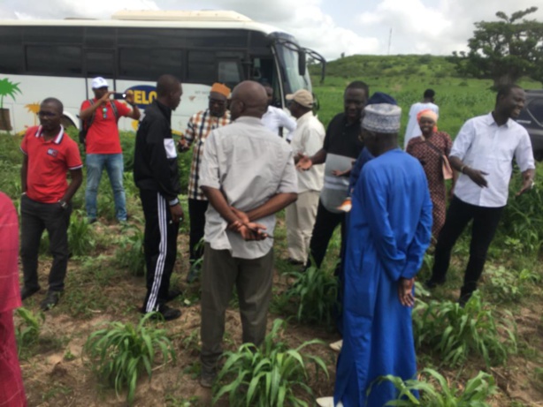 Cité de la presse Mame Less Camara : L'appel poignant du président de l'APRES à Macky Sall Cité de la presse Mame Less Camara : L'appel poignant du président de l'APRES à Macky Sall