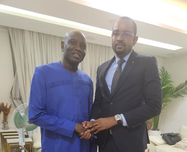 Moussa Sow : "J'ai solennellement demandé  à Aly Ngouille Ndiaye de surseoir à son projet de candidature"