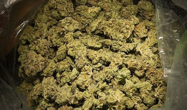 Mbour: La Brigade de Recherches arrête 6 dealers avec 78 kg de drogue Mbour: La Brigade de Recherches arrête 6 dealers avec 78 kg de drogue