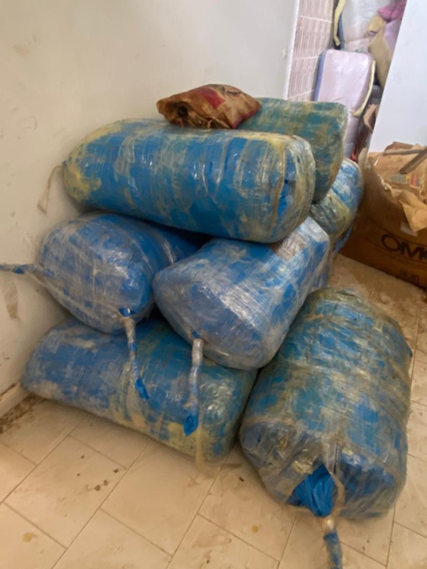 FATICK : Ce que l'on sait des centaines de Kilos de drogue saisies dans plusieurs localités FATICK : Ce que l'on sait des centaines de Kilos de drogue saisies dans plusieurs localités