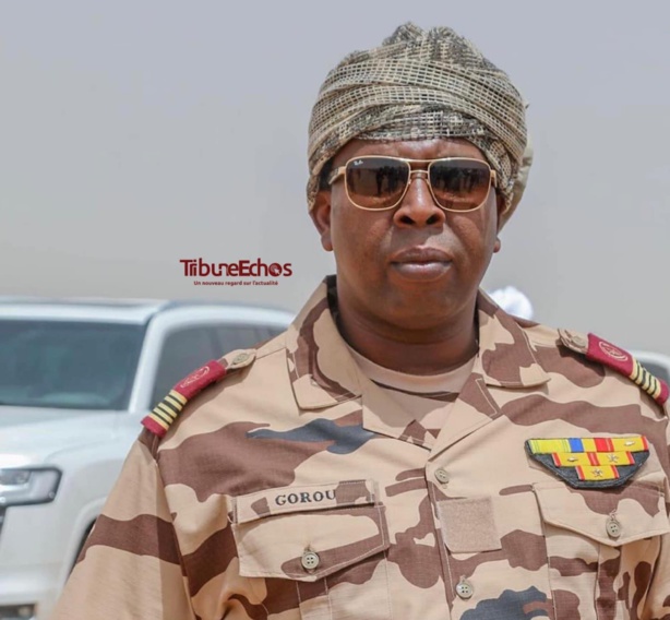 Tchad : Brahim Ahmat Gorou est le nouveau directeur général de la police