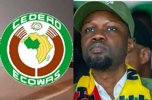 Affaires Sonko et Pastef : La Cour de justice de la Cedeao a tranché Affaires Sonko et Pastef : La Cour de justice de la Cedeao a tranché