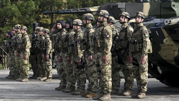 La Hongrie compte envoyer des militaires au Tchad pour lutter contre «les migrations» La Hongrie compte envoyer des militaires au Tchad pour lutter contre «les migrations»