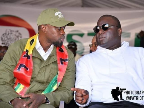 Sonko réintégré sur les listes électorales : «Nous demandons aux autorités de procéder à l’application de la décision…», plaide Déthié Fall