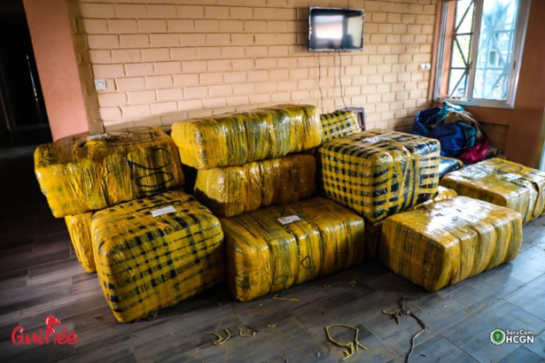 Rufisque : 208 kg de drogue en provenance de la Casamance saisis