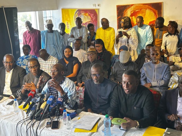 "Le Conseil constitutionnel en actant le report, acte en même temps la reprise intégrale du processus" (FDPEI) "Le Conseil constitutionnel en actant le report, acte en même temps la reprise intégrale du processus" (FDPEI)