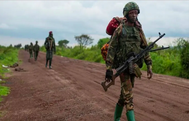 RDC: les rebelles du M23 ont pris le contrôle de la ville de Nyanzale, au nord de Goma RDC: les rebelles du M23 ont pris le contrôle de la ville de Nyanzale, au nord de Goma