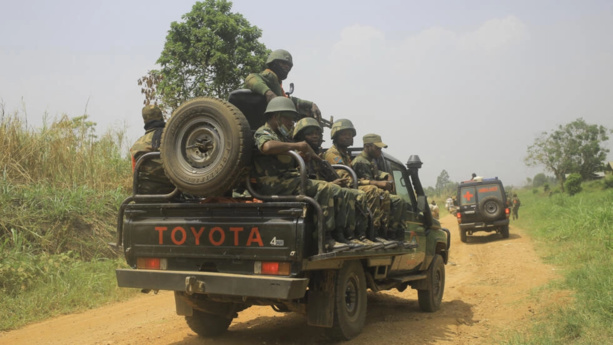 RDC: Deux commandants du groupe armé terroriste 