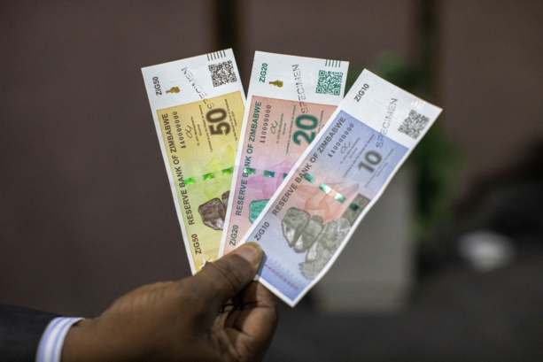 Le «ZiG», nouvelle monnaie du Zimbabwe