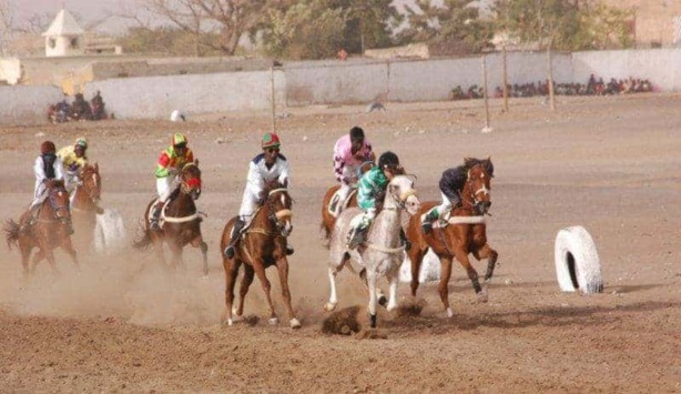 Mécène au secours de l'hippisme sénégalais : le DR Oumar Bao offre des box de départ neufs !!! Mécène au secours de l'hippisme sénégalais : le DR Oumar Bao offre des box de départ neufs !!!