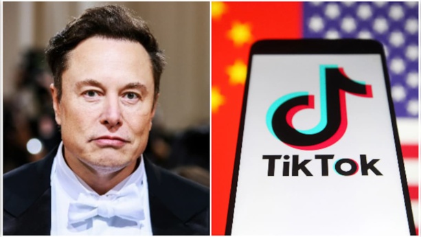 Elon Musk en route pour le rachat de "TikTok" : Un Nouveau pari audacieux Elon Musk en route pour le rachat de "TikTok" : Un Nouveau pari audacieux