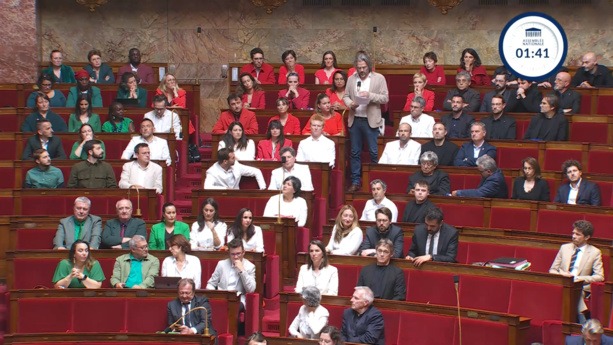 France : Des députés de gauche vêtus aux couleurs de la Palestine à l'Assemblée nationale France : Des députés de gauche vêtus aux couleurs de la Palestine à l'Assemblée nationale
