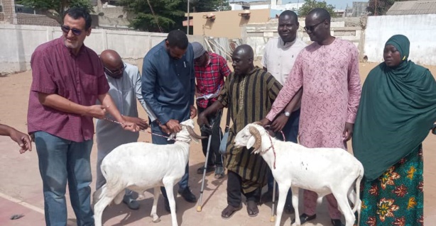 Solidarité : "Direct Aid Society" lance le programme Tabaski avec un don de 110 moutons