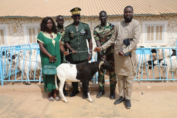 Tabaski : 140 moutons offerts aux militaires invalides par le CEMGA Tabaski : 140 moutons offerts aux militaires invalides par le CEMGA