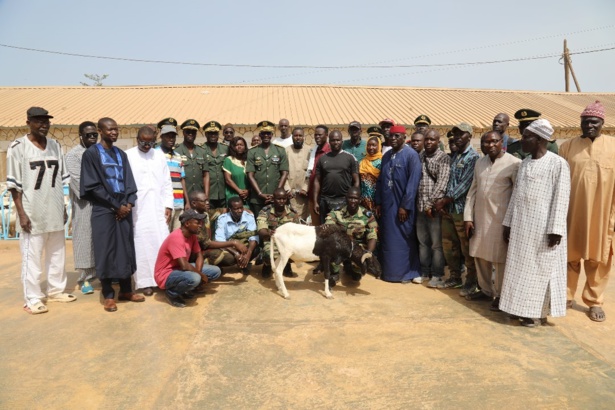 Tabaski : 140 moutons offerts aux militaires invalides par le CEMGA Tabaski : 140 moutons offerts aux militaires invalides par le CEMGA