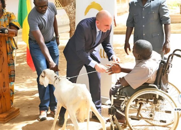 Émilie Gomis dénonce les dons d'Israël au Sénégal : "Une légitimation des actions criminelles" Émilie Gomis dénonce les dons d'Israël au Sénégal : "Une légitimation des actions criminelles"