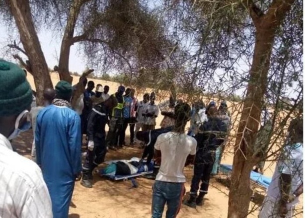 Violence à Malem-Hodar : Un berger perd la vie, un chef de village en garde à vue Violence à Malem-Hodar : Un berger perd la vie, un chef de village en garde à vue