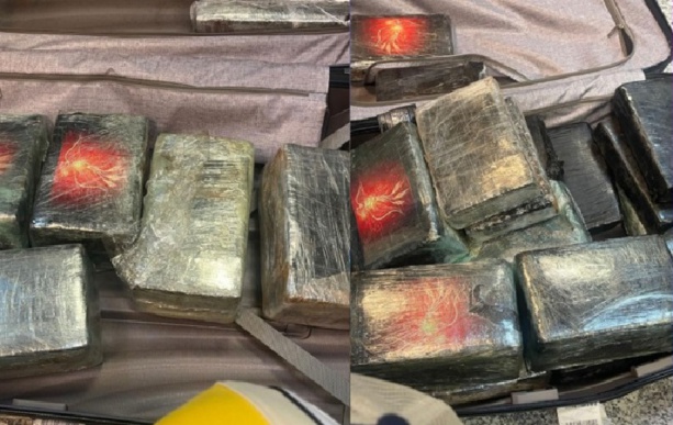 Saisie de Drogue à l'AIBD : 40,3 kg de Cocaïne Interceptés par les Douanes Saisie de Drogue à l'AIBD : 40,3 kg de Cocaïne Interceptés par les Douanes