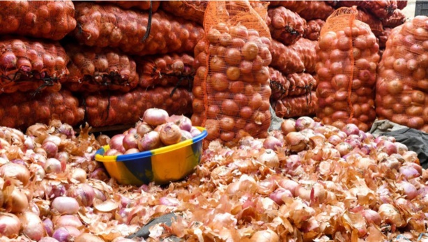 Pertes post-récoltes au Sénégal : Un Rapport révèle des déficits d'infrastructure énormes Pertes post-récoltes au Sénégal : Un Rapport révèle des déficits d'infrastructure énormes