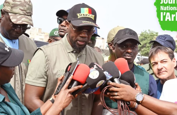 Ousmane Sonko aux Sénégalais : "Reboiser n’est pas difficile..." Ousmane Sonko aux Sénégalais : "Reboiser n’est pas difficile..."