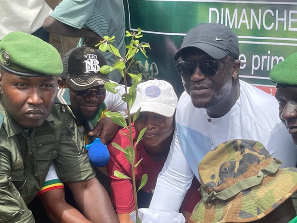 Mboro célèbre la Journée Nationale de l'arbre : Aboubacar Diassy et le mouvement "Ubuntu" en Première Ligne Mboro célèbre la Journée Nationale de l'arbre : Aboubacar Diassy et le mouvement "Ubuntu" en Première Ligne