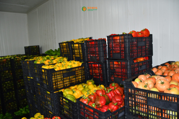 Le marché d'intérêt général, l’agriculture et la grande distribution (Par Souleymane SENE) Le marché d'intérêt général, l’agriculture et la grande distribution (Par Souleymane SENE)