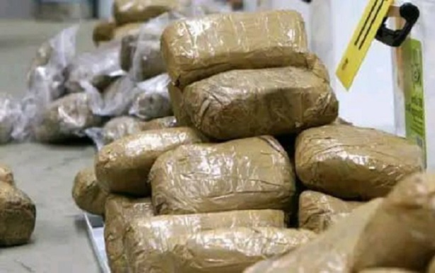 Matam : La Douane saisit une importante quantité de drogue estimée à 36 millions de francs CFA Matam : La Douane saisit une importante quantité de drogue estimée à 36 millions de francs CFA