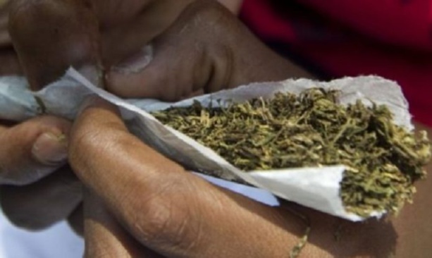 Nioro : Un suspect de trafic de chanvre indien succombe pendant son transfert Nioro : Un suspect de trafic de chanvre indien succombe pendant son transfert