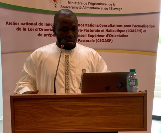 Sénégal, la DAPSA ouvre les consultations sur l'avenir du secteur agro-sylvo-pastoral Sénégal, la DAPSA ouvre les consultations sur l'avenir du secteur agro-sylvo-pastoral