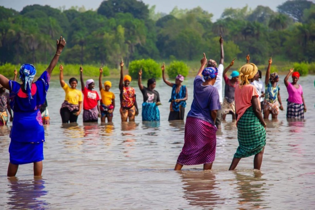 Sédhiou : Les femmes en première ligne pour sauver la mangrove Sédhiou : Les femmes en première ligne pour sauver la mangrove
