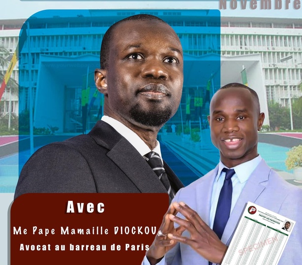 Législatives : Me Pape Mamaille Diockou félicite le peuple Sénégalais et rend hommage à Ousmane Sonko Législatives : Me Pape Mamaille Diockou félicite le peuple Sénégalais et rend hommage à Ousmane Sonko