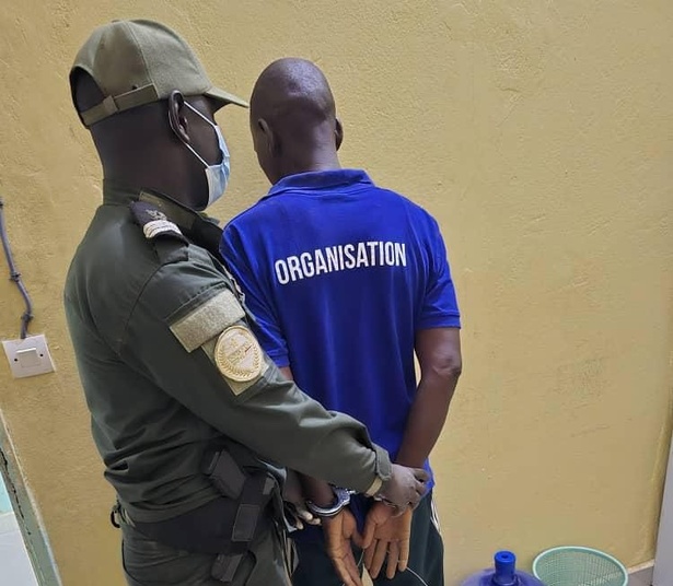 Saisie record de cocaïne à Koungheul : les Douanes sénégalaises frappent fort Saisie record de cocaïne à Koungheul : les Douanes sénégalaises frappent fort