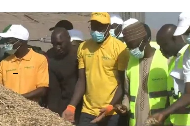 El Hadji Ndane Diagne, DG de la SONACOS, aux agriculteurs de Ziguinchor : « Ne bradez pas vos récoltes » El Hadji Ndane Diagne, DG de la SONACOS, aux agriculteurs de Ziguinchor : « Ne bradez pas vos récoltes »