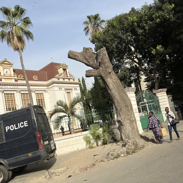 ALERTE SÉNÉGAL : l’État policier s’installe ALERTE SÉNÉGAL : l’État policier s’installe
