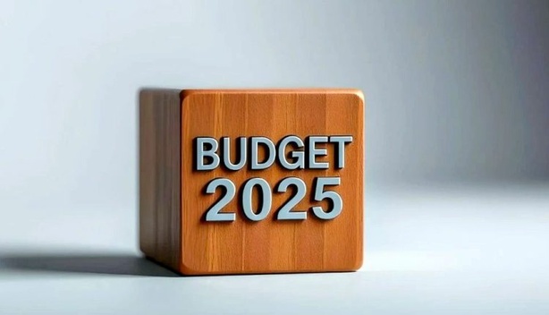 Arrive enfin la loi des finances 2025 (Par Dr. Abdourahmane BA) Arrive enfin la loi des finances 2025 (Par Dr. Abdourahmane BA)