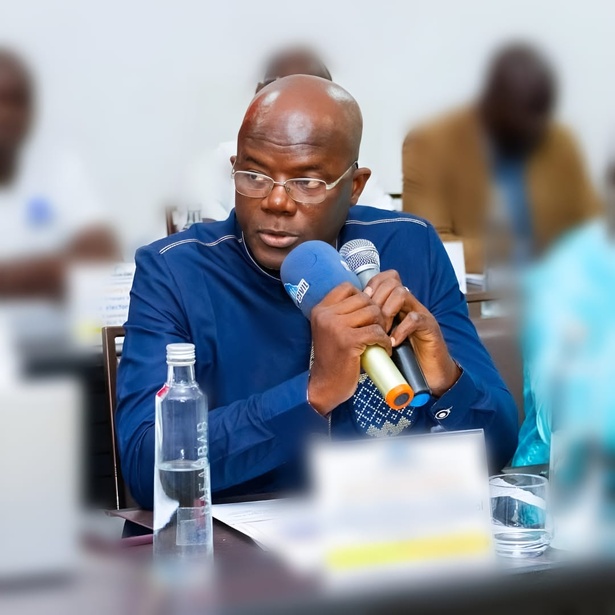 Légèreté et incohérence dans la procédure initiée par les avocats de Barthélémy Días auprès du conseil constitutionnel (Par Abdourahmane Maiga) Légèreté et incohérence dans la procédure initiée par les avocats de Barthélémy Días auprès du conseil constitutionnel (Par Abdourahmane Maiga)