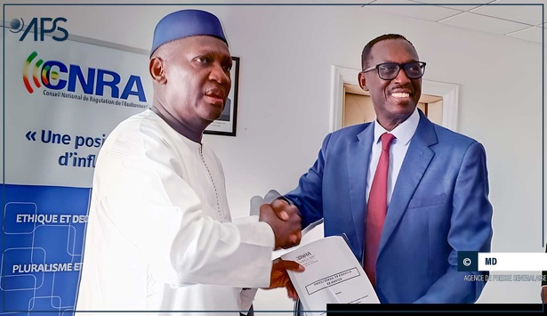 SOCIOLOGIE DES ORGANISATIONS : une étude critique du CNRA : Une régulation linéaire dans un monde exponentiel.(Par Moussa SARR) SOCIOLOGIE DES ORGANISATIONS : une étude critique du CNRA : Une régulation linéaire dans un monde exponentiel.(Par Moussa SARR)