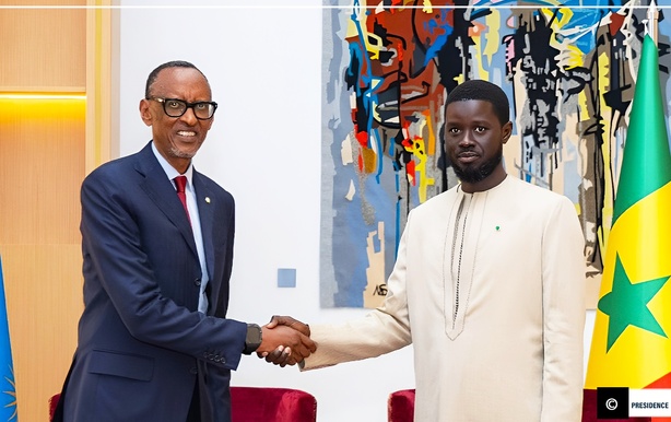 Régulation pharmaceutique : Le Sénégal et le Rwanda accèdent au niveau ML3, selon l’OMS Régulation pharmaceutique : Le Sénégal et le Rwanda accèdent au niveau ML3, selon l’OMS